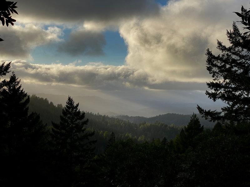 A beautiful view through the trees.