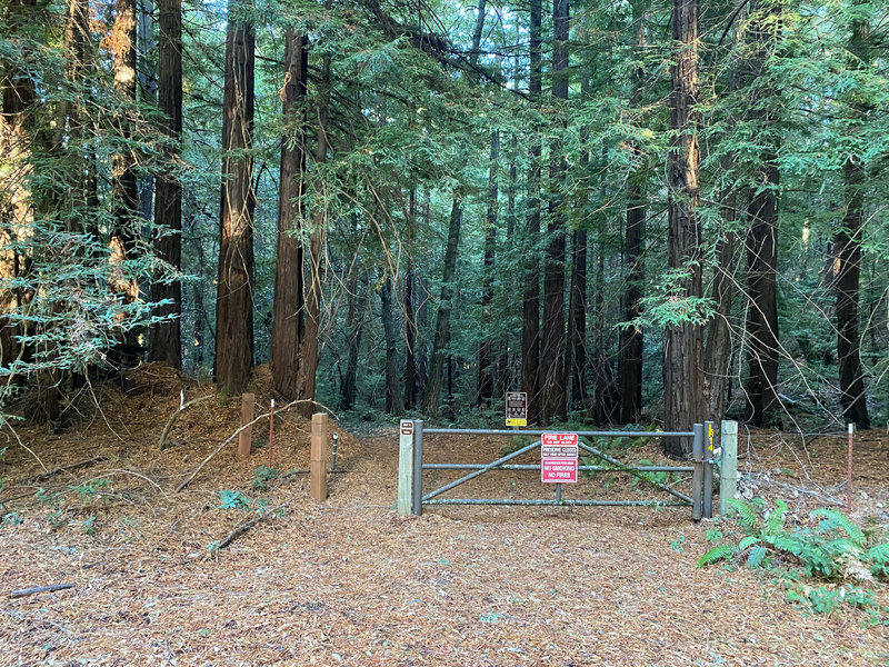 The trail descends into Long Ridge Open Space Preserve through this gate.