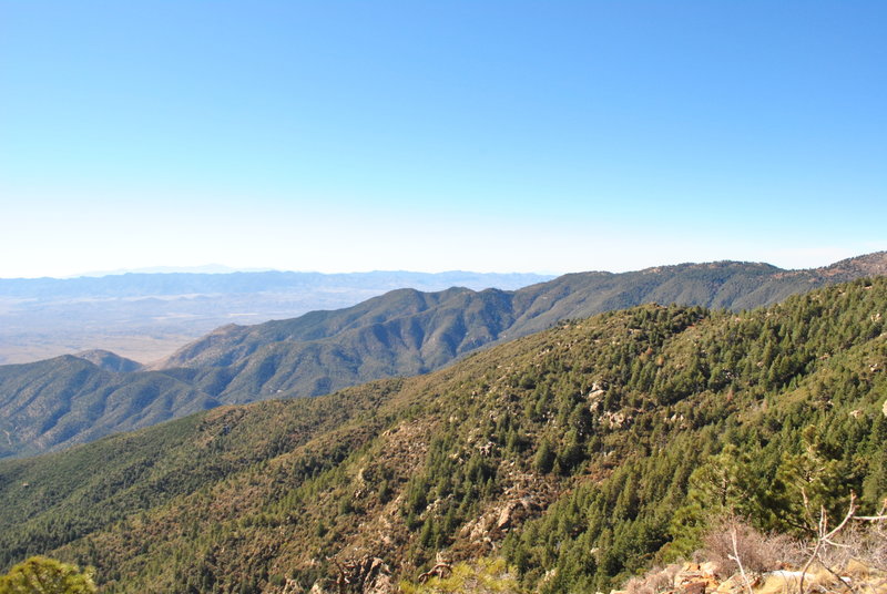 View NW on first part of trail.