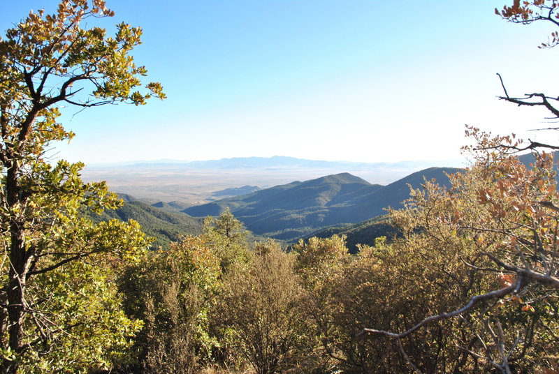 Looking SW right before junction with Taylor Canyon.