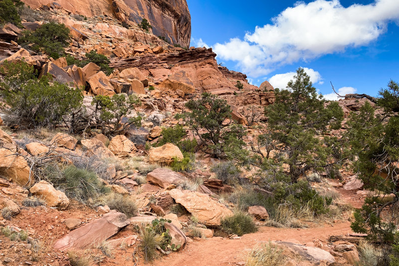 Sandy trails and rocky terrain.