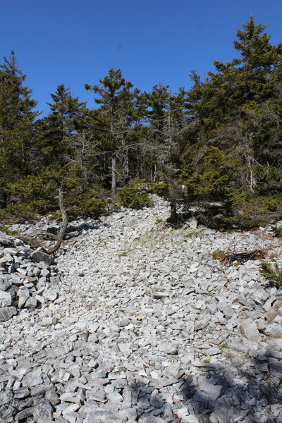The white rocks that make bald mountain "bald".