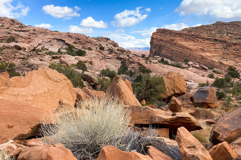 Although the surrounding terrain seems to all be from a similar rock, the colors are surprisingly varied.