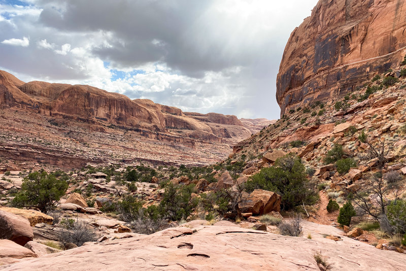 View from lower-down on the Portal Trail.