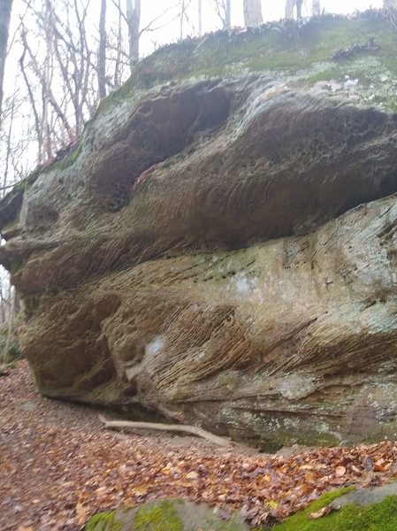 Rock outcropping