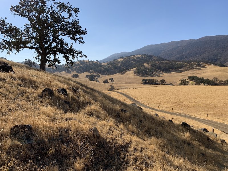 Looking back at the north end of the Oak Savannah Trail.