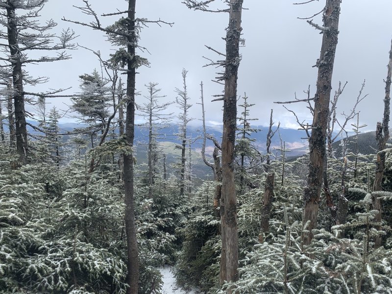 View from almost at south peak.