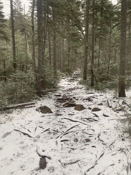 Rocks and slippery snowy trail.