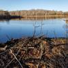 Beaver lodge