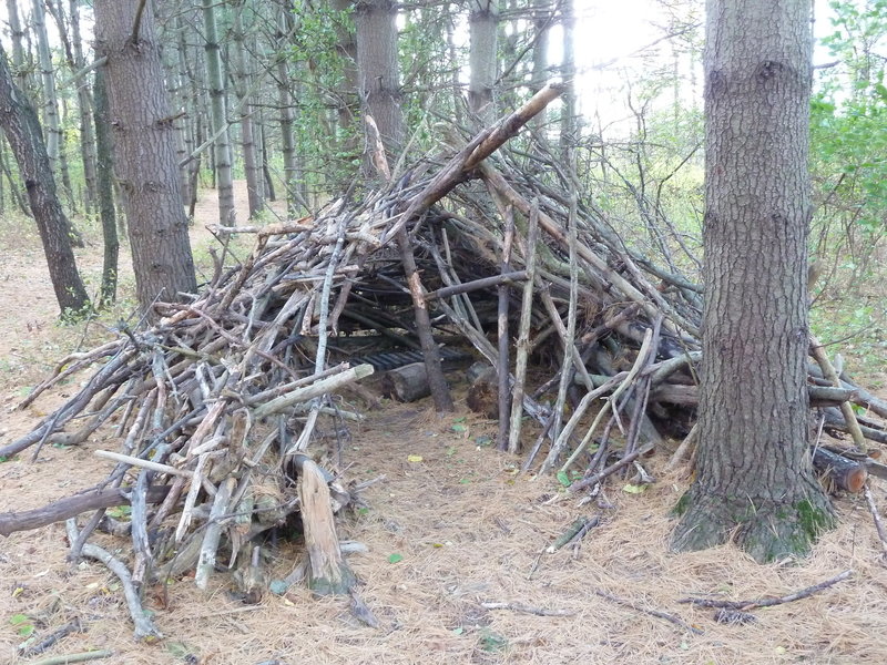 Wood Forts