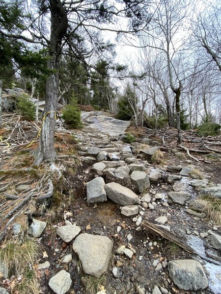 Mt Monadnock Summit, 15 November 2020