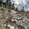 Mt Monadnock Summit, 15 November 2020