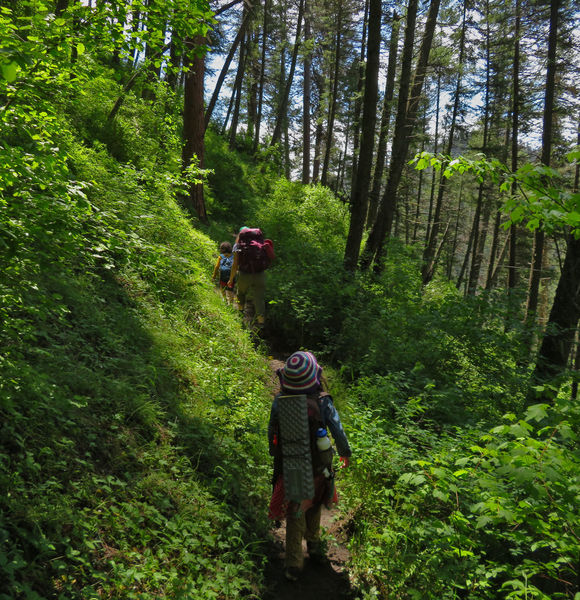 Hiking along the Snoose Creek Trail.