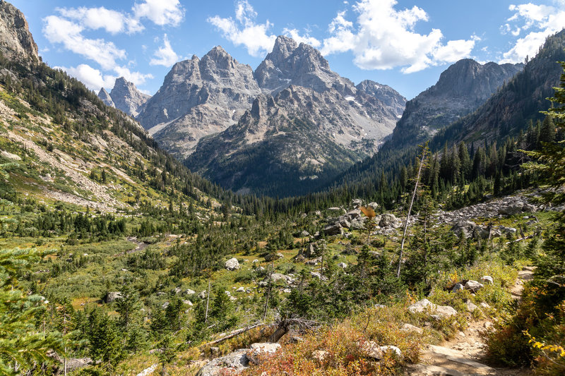 Grand Teton