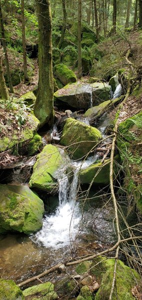 Tributary waterfalls