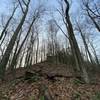 Looking up towards Smith's Knob.