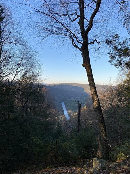 Loyalsock Trail below.