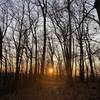 End of a beautiful Fall trail run on the Loyalsock Trail.