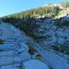 A set of rock steps on the Avalanche Pass Trail.