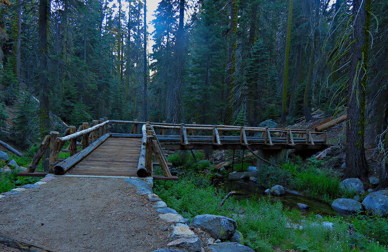 The bridge over Clover Creek on the Wuksachi Trail.