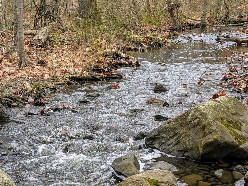 This stream of running water starts at the Orange Reservoir and runs along the Turtleback Loop.