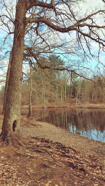 Canoe Landing