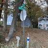 Turn at Bliss Street - note trail marker