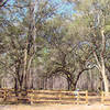 Coot's Shanty Recreation Area - Homesteaders Hollow Trailhead/Parking