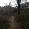 View of the singletrack trail.