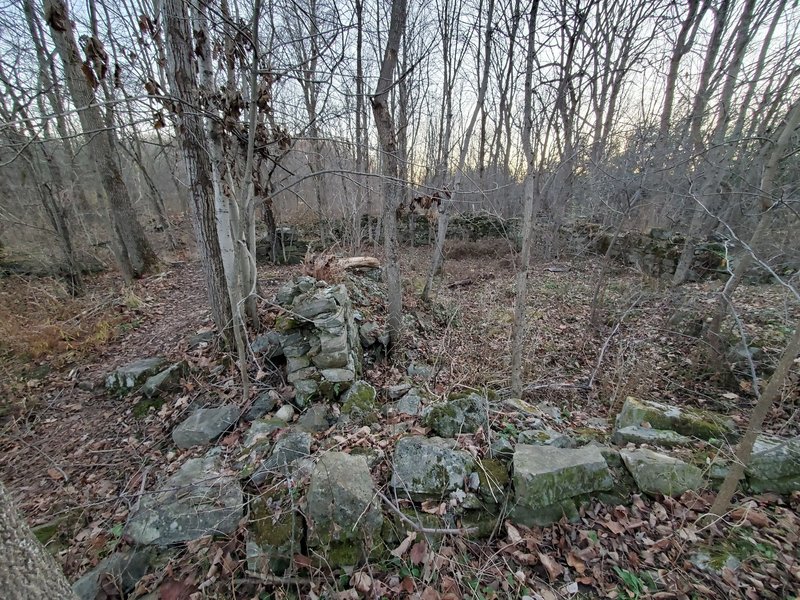 Ruins of a building from settler days.