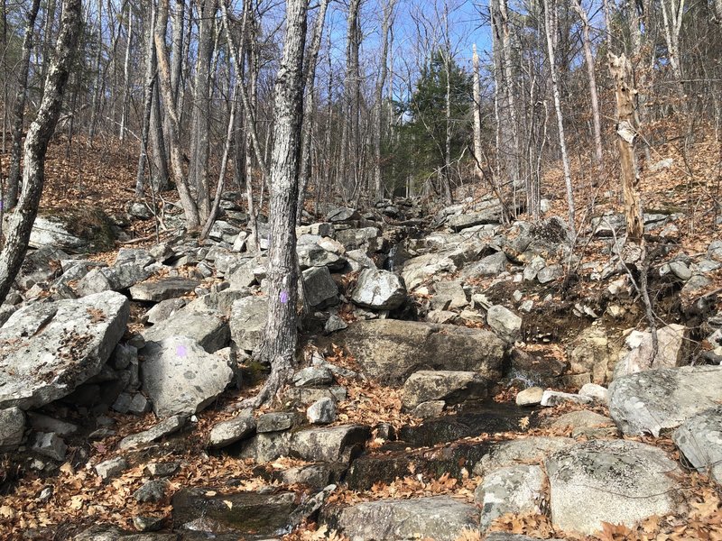 The brook continues just past the waterfall on the Precipice Path.