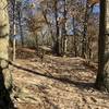 Looking towards Mount Baldhead.