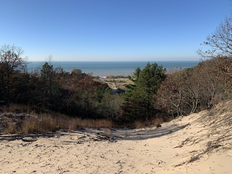 Looking down the dune toward Oval Beach.