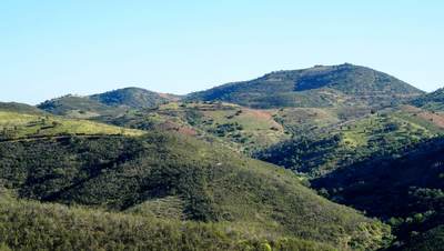 Typical view on the trail.