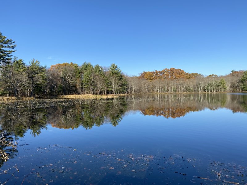 The Needham Reservoir