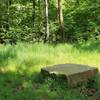 Resting spot on large rock in small clearing.