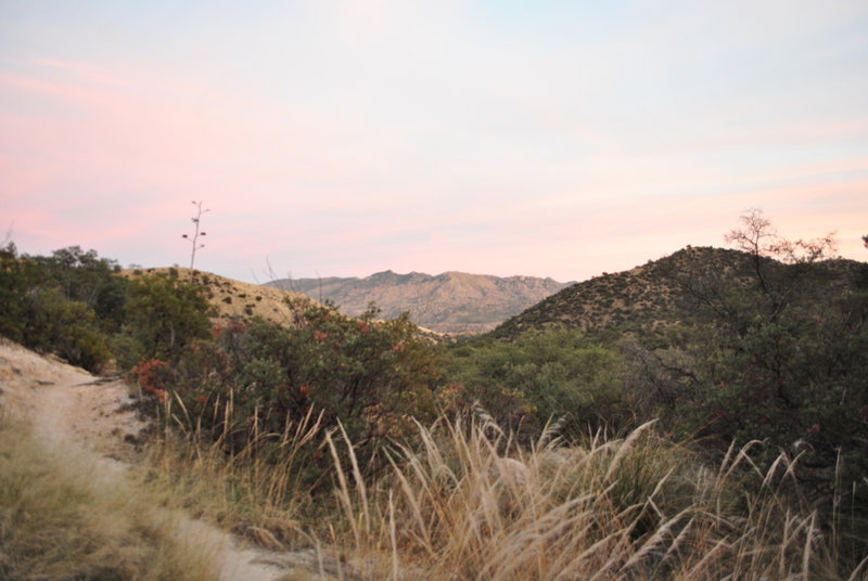 Few miles back to the trailhead - dusk approaches.