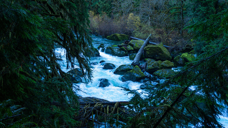 The Staircase Rapids through the trees.