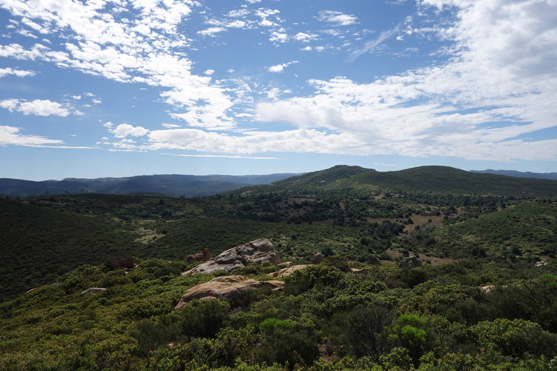 Verdant spring time view southeast from near Oakzanita Peak.