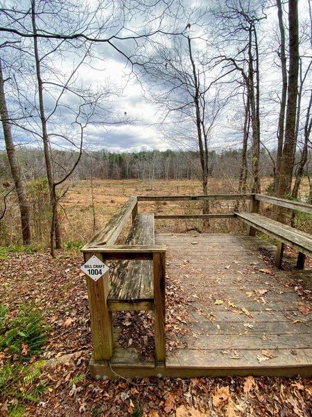 Viewpoint over the wetlands