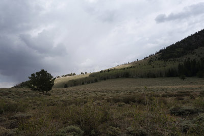 Storm approaching the top of Pole Canyon at Great Basin NP.