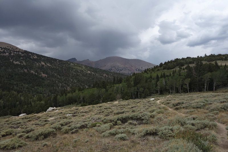 Jeff Davis peak under storm clouds viewed from the high sage field at the top of Pole Canyon.