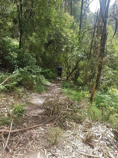 Downhill at Olinda Falls