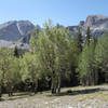 Jeff Davis Peak (left) and Wheeler Peak (right) viewed from the Alipine Lakes Loop at Great Basin NP.