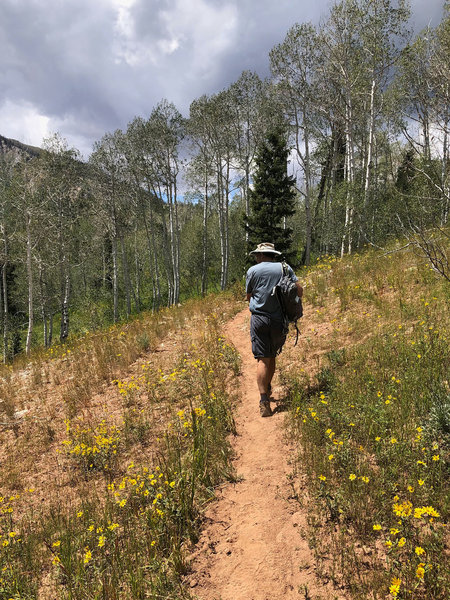 Hiker near the start of the Nebo Bench Trail