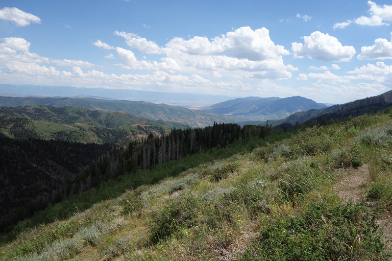 View south towards Salt Creek Peak from the Nebo Traverse Trail.