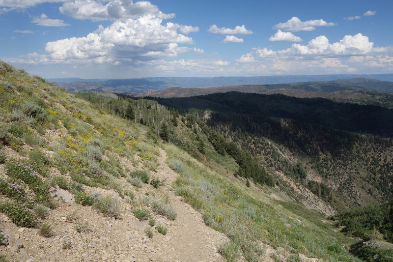 View northeast along the Mt. Nebo bench trail in the direction of the Mt. Nebo Loop road.