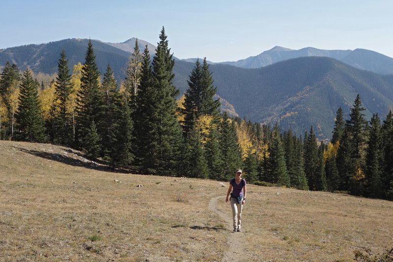 Hiker crossing an alpine meadow framed by the Taos Ski Area mountains