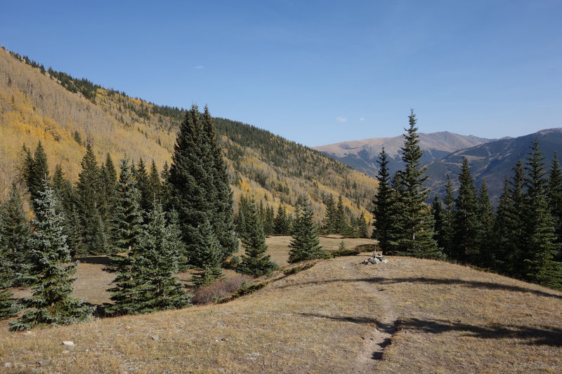 View in the direction of Taos Ski Resort from near the finish of the Gavilan Trail.