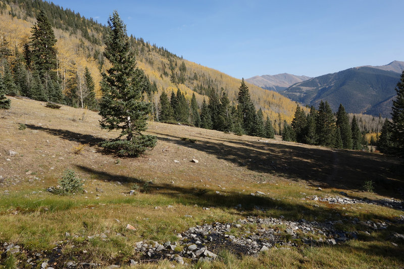 Alpine meadow stream near the top of the Gavilan Trail.